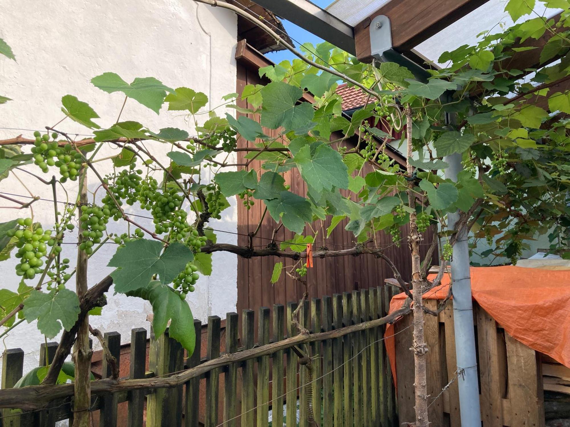 Ferienwohnung Schreiner Wernstein am Inn Exterior foto